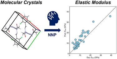 Exploration of elastic moduli of molecular crystals via database screening by pretrained neural network potential
