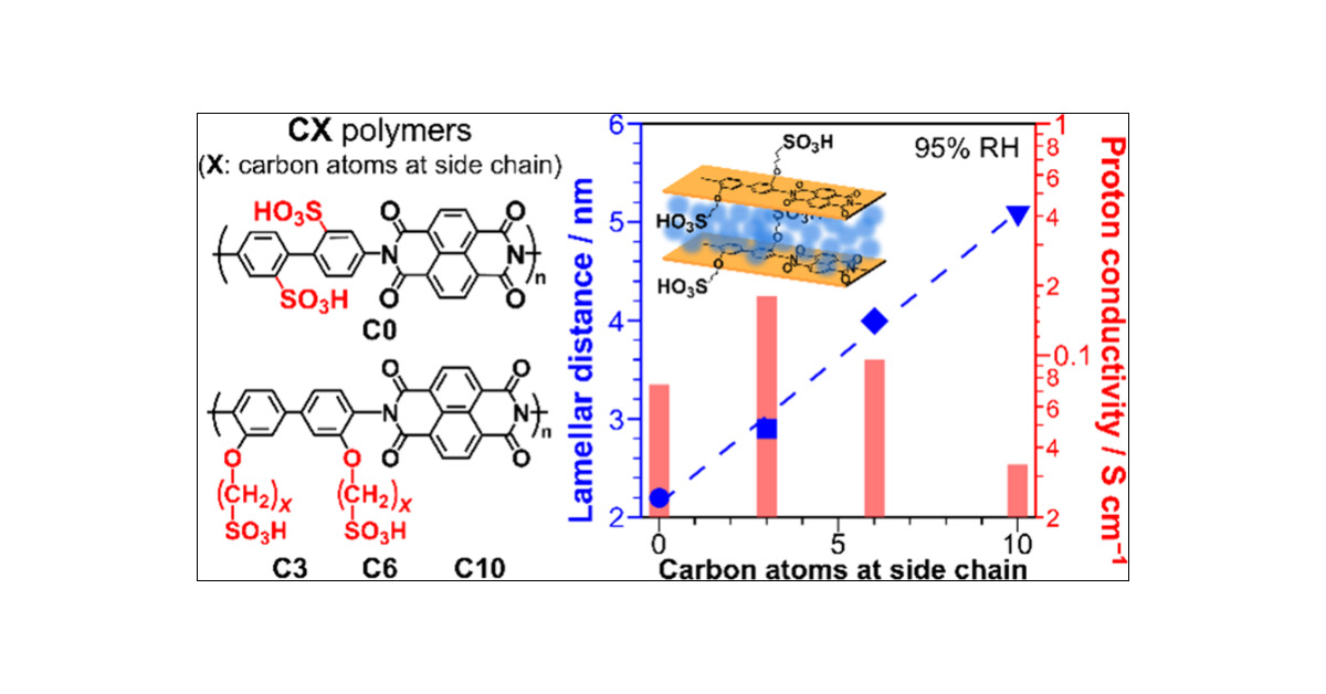 Effects of Alkyl Side Chain Length on the Structural Organization and Proton Conductivity of Sulfonated Polyimide Thin Films