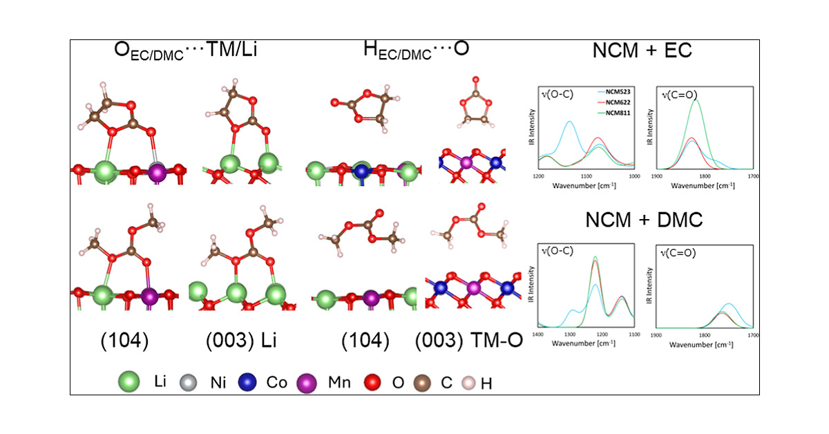 Exploring Electrolyte Adsorption on the Different Types of Layered Cathode Surfaces in Lithium-Ion Batteries via a Universal Neural Network Potential Method