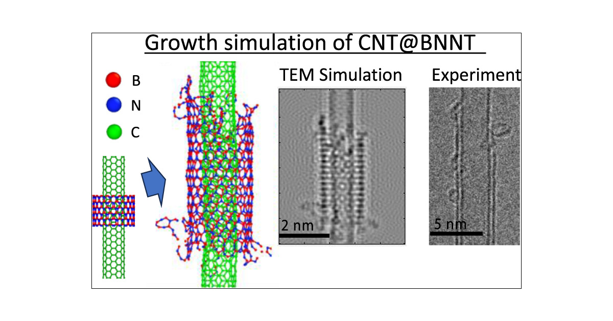 Molecular Dynamics of Catalyst-Free Edge Elongation of Boron Nitride Nanotubes Coaxially Grown on Single-Walled Carbon Nanotubes