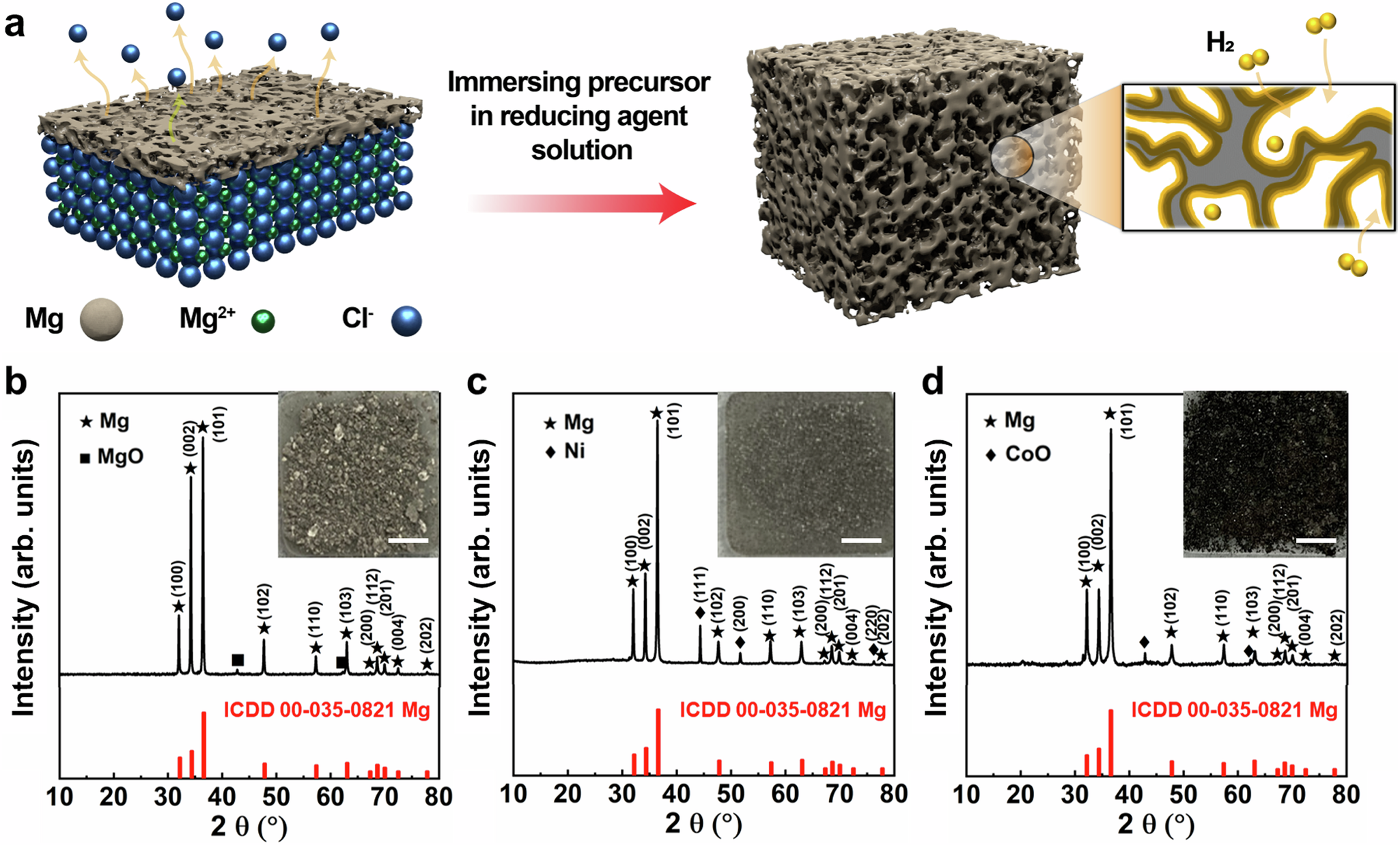 Facile Synthesis of Nanoporous Mg Crystalline Structure by Organic Solvent-Based Reduction for Solid-State Hydrogen Storage