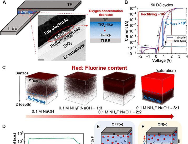 Tunable Ion Energy Barrier Modulation through Aliovalent Halide Doping for Reliable and Dynamic Memristive Neuromorphic Systems