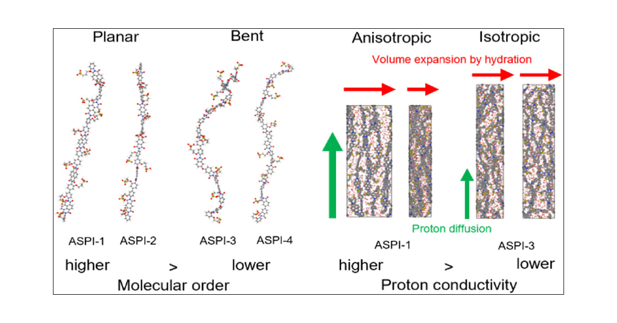 Molecular Dynamics Simulation of Polymer Electrolyte Membrane for Understanding Structure and Proton Conductivity at Various Hydration Levels Using Neural Network Potential
