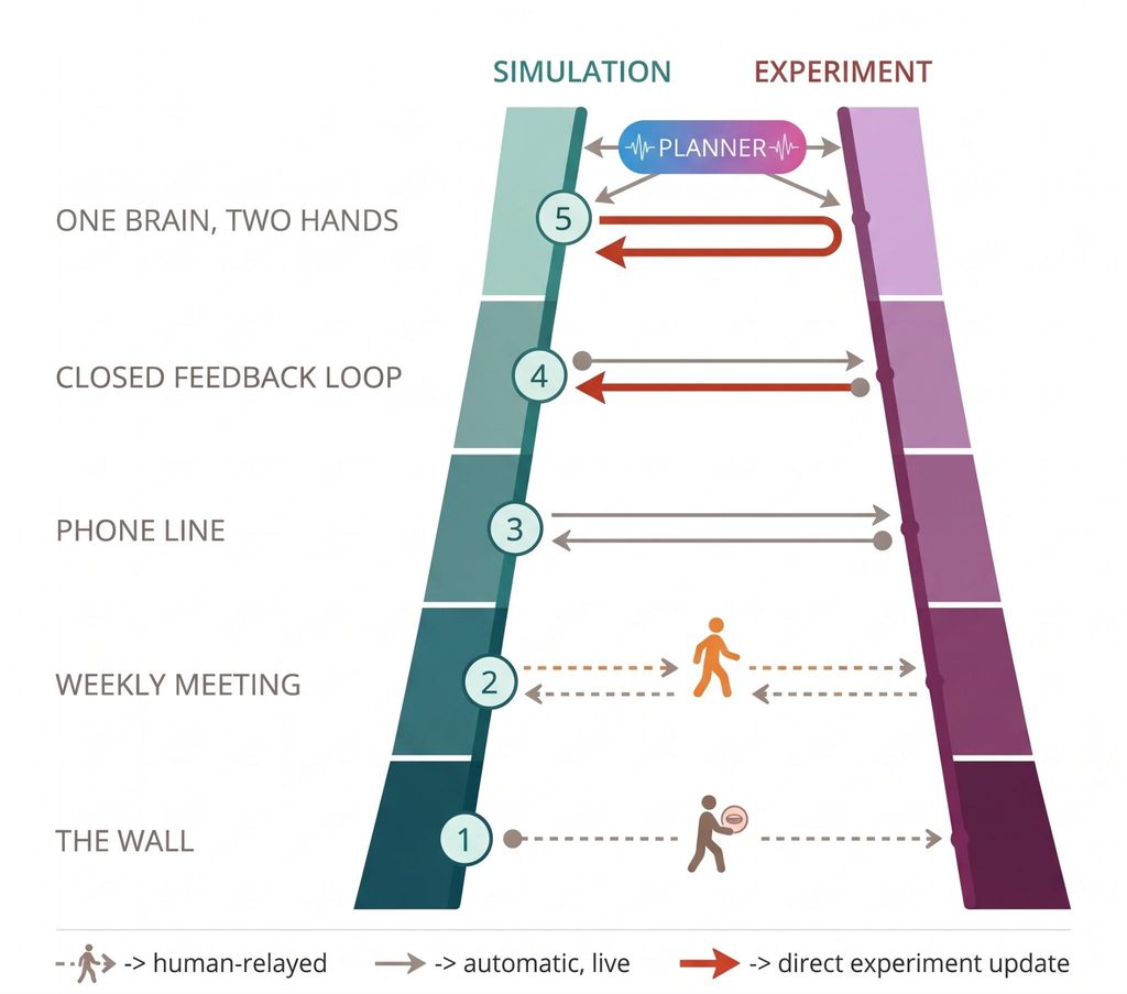 Ladder diagram of five rungs coupling simulation and experiment, from bottom to top: the wall, the weekly meeting, the phone line, the feedback loop, and one brain and two hands, where a planner oversees both sides